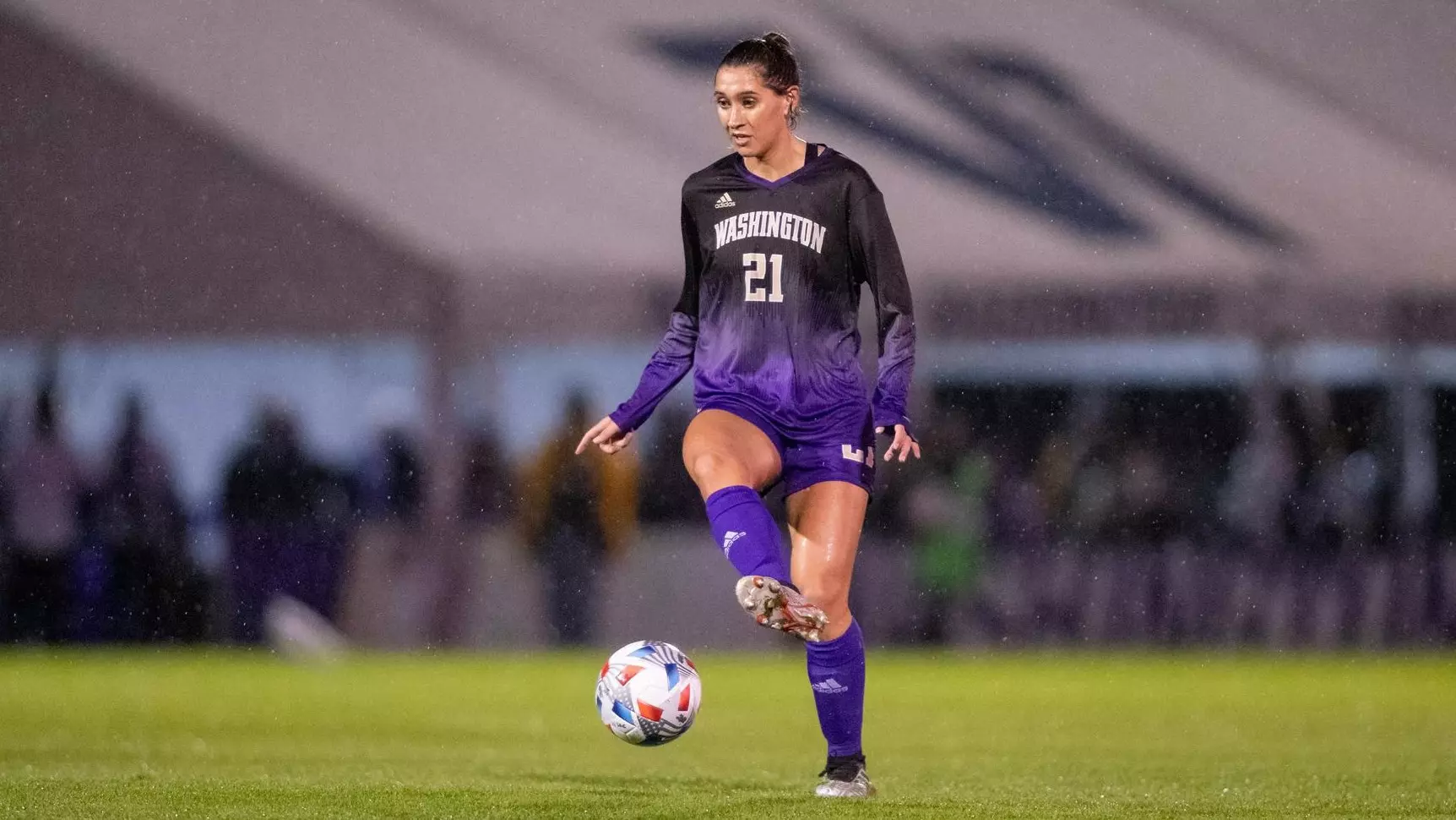 岁的网坛新 岁的网坛新