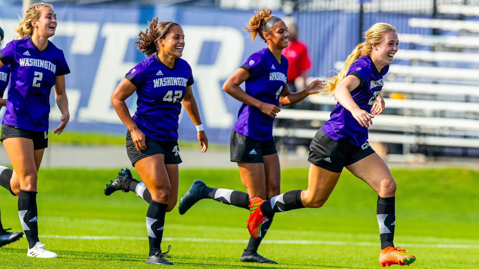 全依赖凯文 全依赖凯文