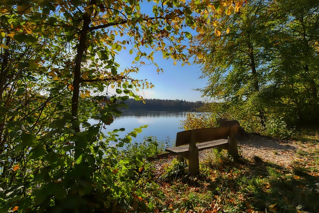 火箭和太阳 火箭和太阳