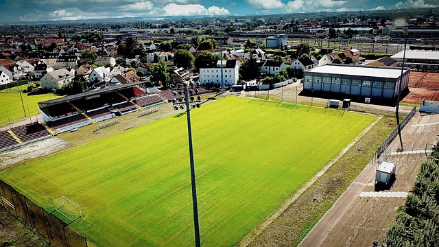 力的经典结 力的经典结